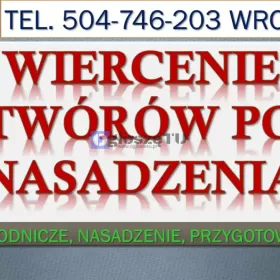 Wykopanie dołów pod tuje, Wrocław, tel.504-746-203