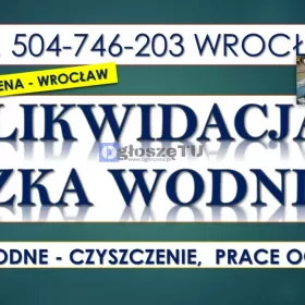Likwidacja oczka wodnego, tel. 504-746-203.Wrocław