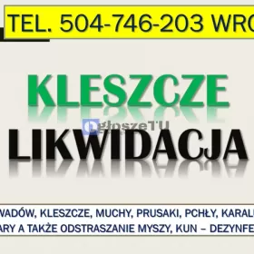 Likwidacja kleszczy, Wrocław, tel. 504-746-203