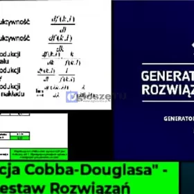 Funkcja Cobba - Douglasa - Zestaw Rozwiązań Excel