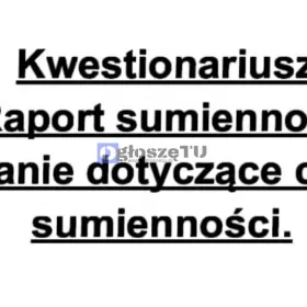 "Kwestionariusz, Raport Sumienności"