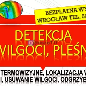 Wykrywanie i przyczyny wilgoci, Wrocław
