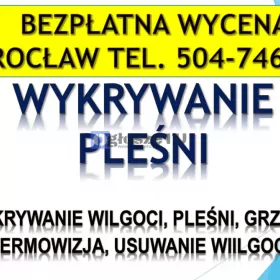 Wykrycie pleśni, tel. 504-746-203. Wrocław