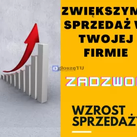 Zwiększymy sprzedaż w Twojej firmie. Zadzwoń.