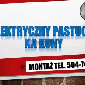 Ile kosztuje elektryczny pastuch na kuny? tel.