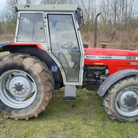 Massey ferguson 365