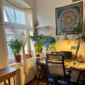 2p 41m ok. Parku Tołpy ANTRESOLA/PIWNICA (Wrocław)