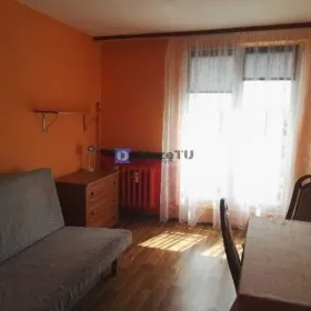 2pok 42met, ok. Borowskiej PIWNICA/WINDA (Wrocław)