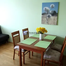 2pok 52m ok. Dedala BALKON/WINDA/PARKING (Wrocław)