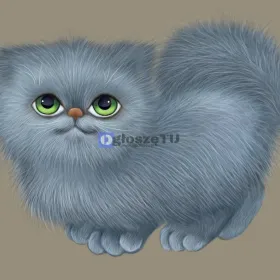 Ofiaruj kotom w azylu potrzebne rzeczy!