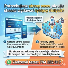 HIT: Strona WWW + Reklama w 300 miejscach!  