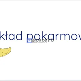 Prezentacje multimedialne,  referaty