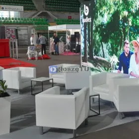 Wynajem sprzętu eventowego – fotele i stoliki