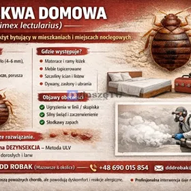 Profesjonalne zwalczanie pluskiew w Siedlcach