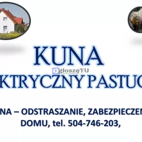 Pastuch na kuny, cena tel. 504-746-203. Kuna,